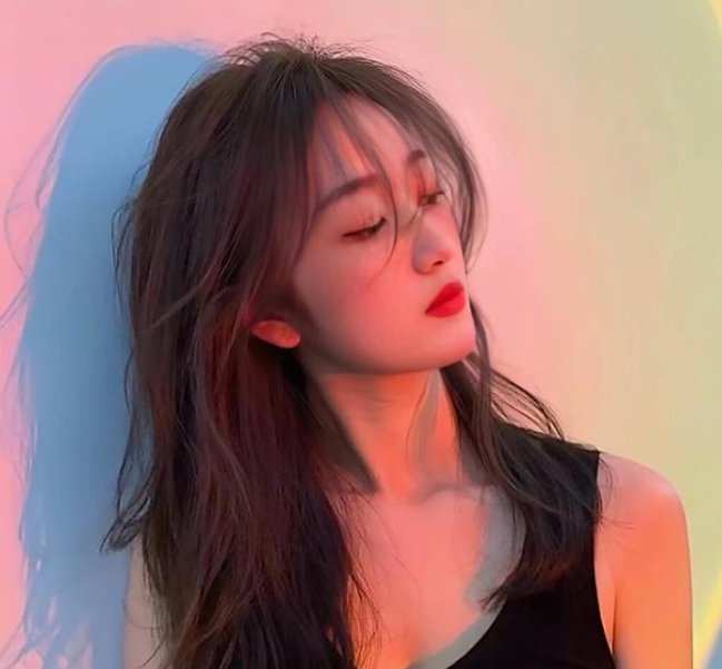 木材宝藏狗