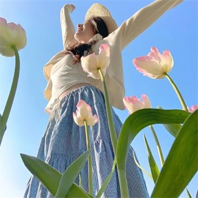 海军罪案调查处：悉尼